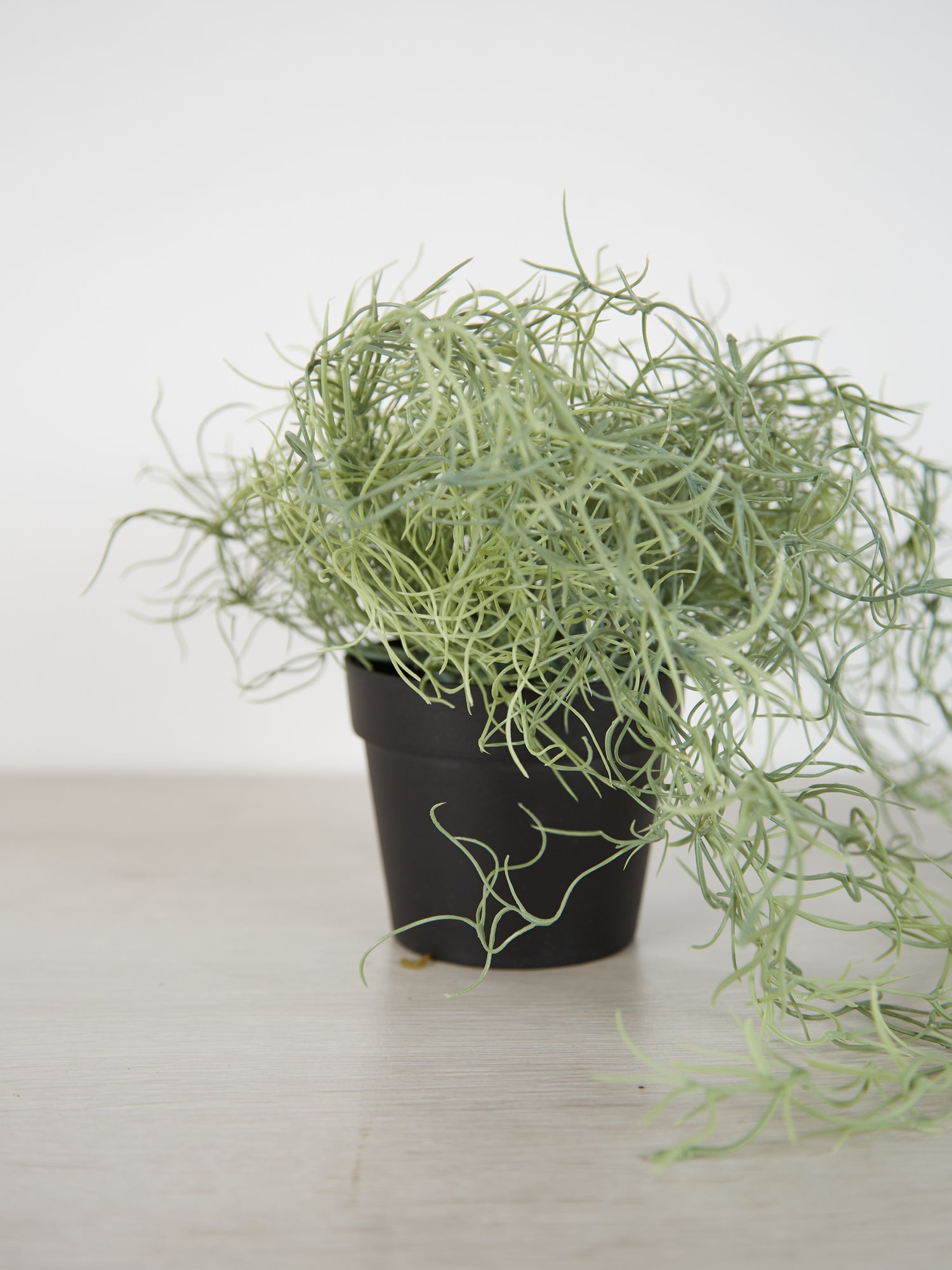 Faux Spanish Moss in Pot