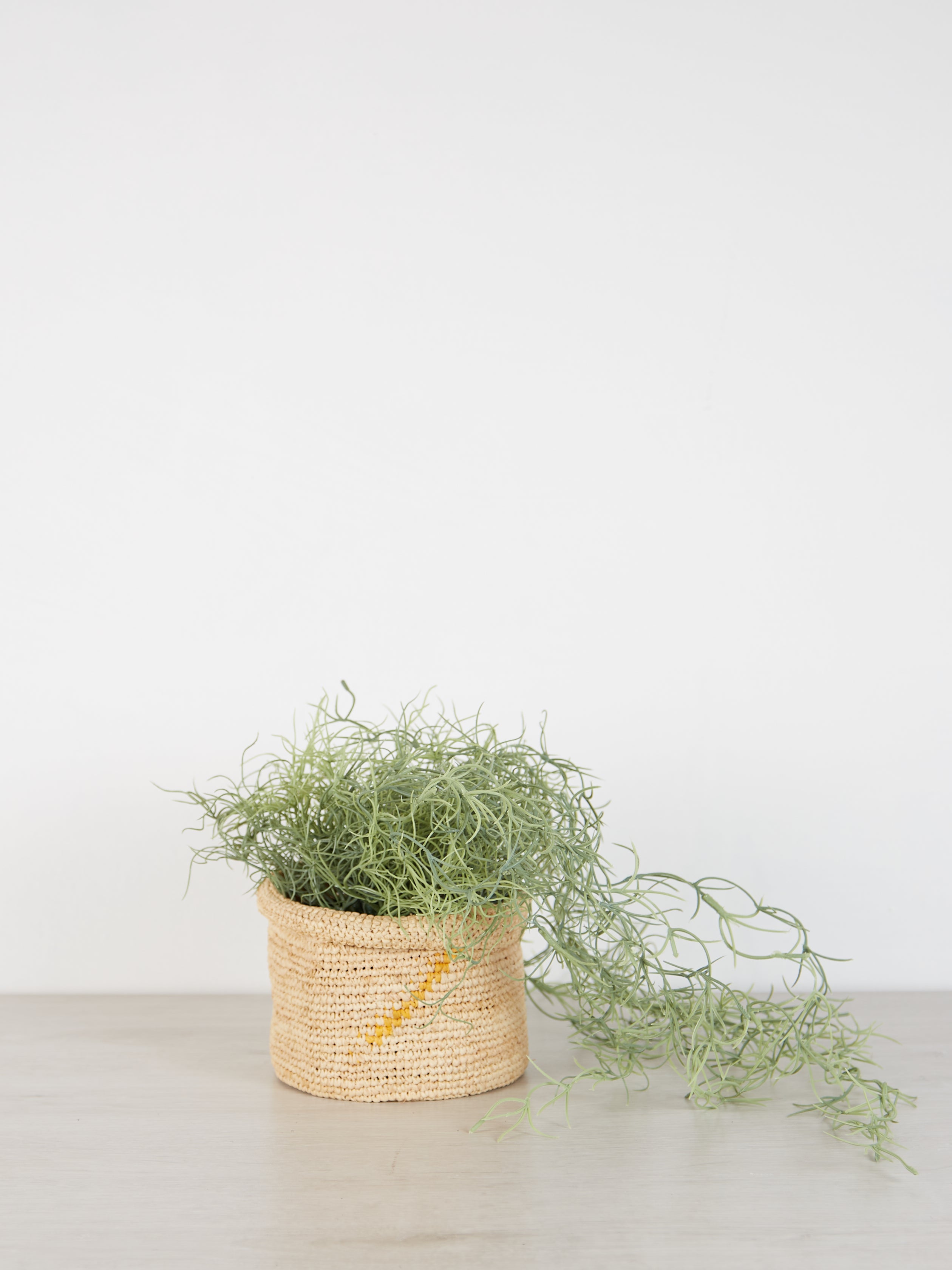 Faux Spanish Moss in Pot