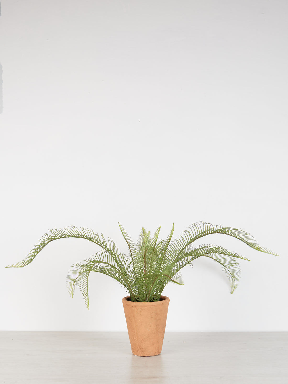 Faux Java Fern in Terracotta Pot