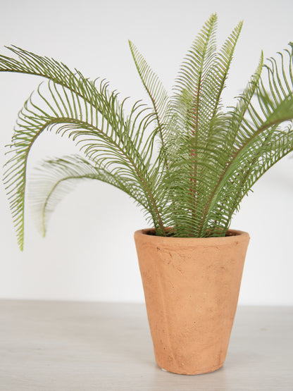 Faux Java Fern in Terracotta Pot