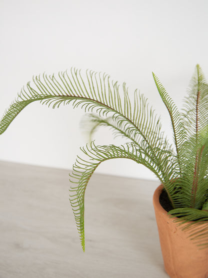 Faux Java Fern in Terracotta Pot