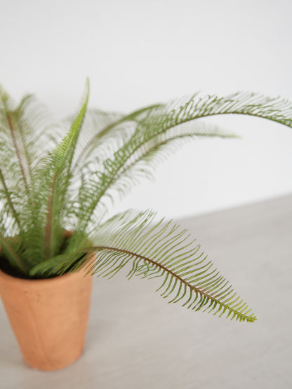 Faux Java Fern in Terracotta Pot