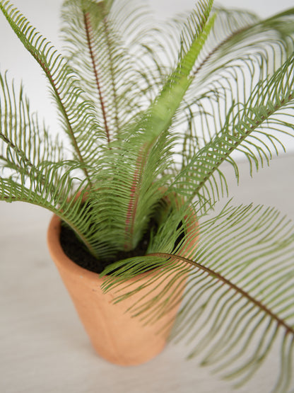 Faux Java Fern in Terracotta Pot