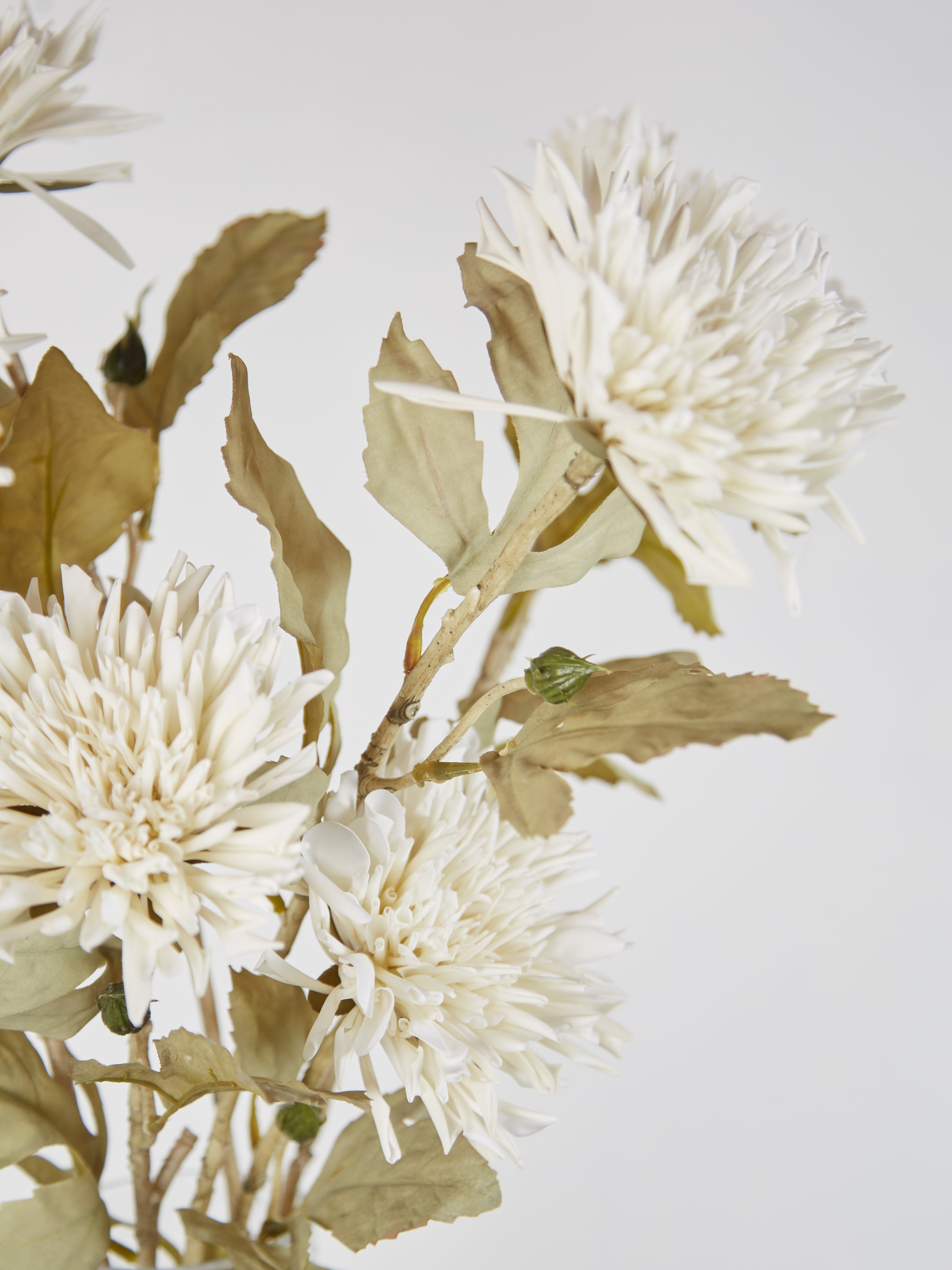 Faux Ivory Dahlia