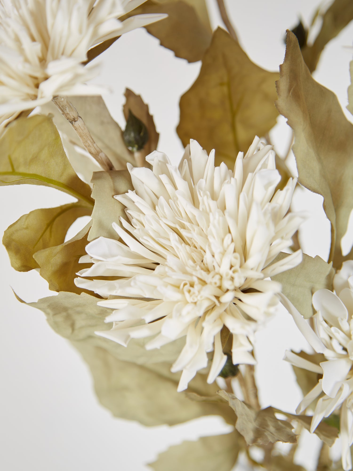 Faux Ivory Dahlia