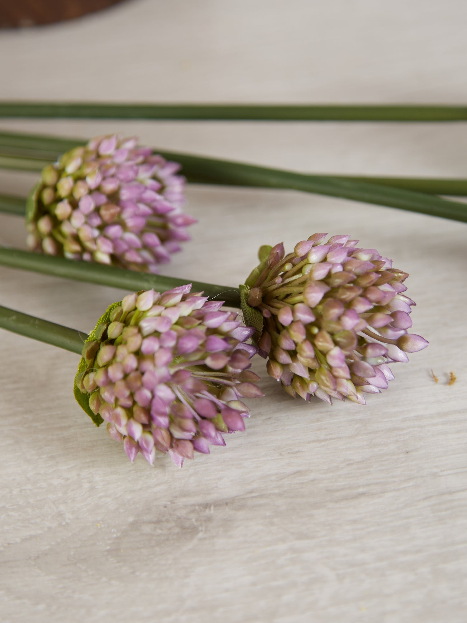 Faux Allium in Bud