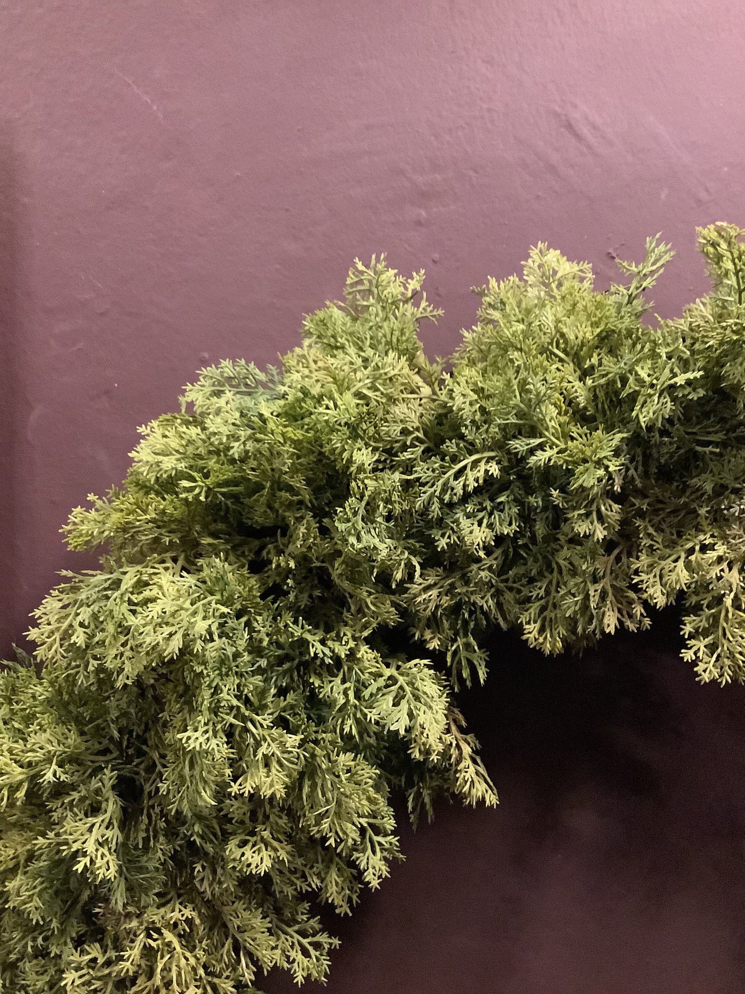 Simple Moss Wreath