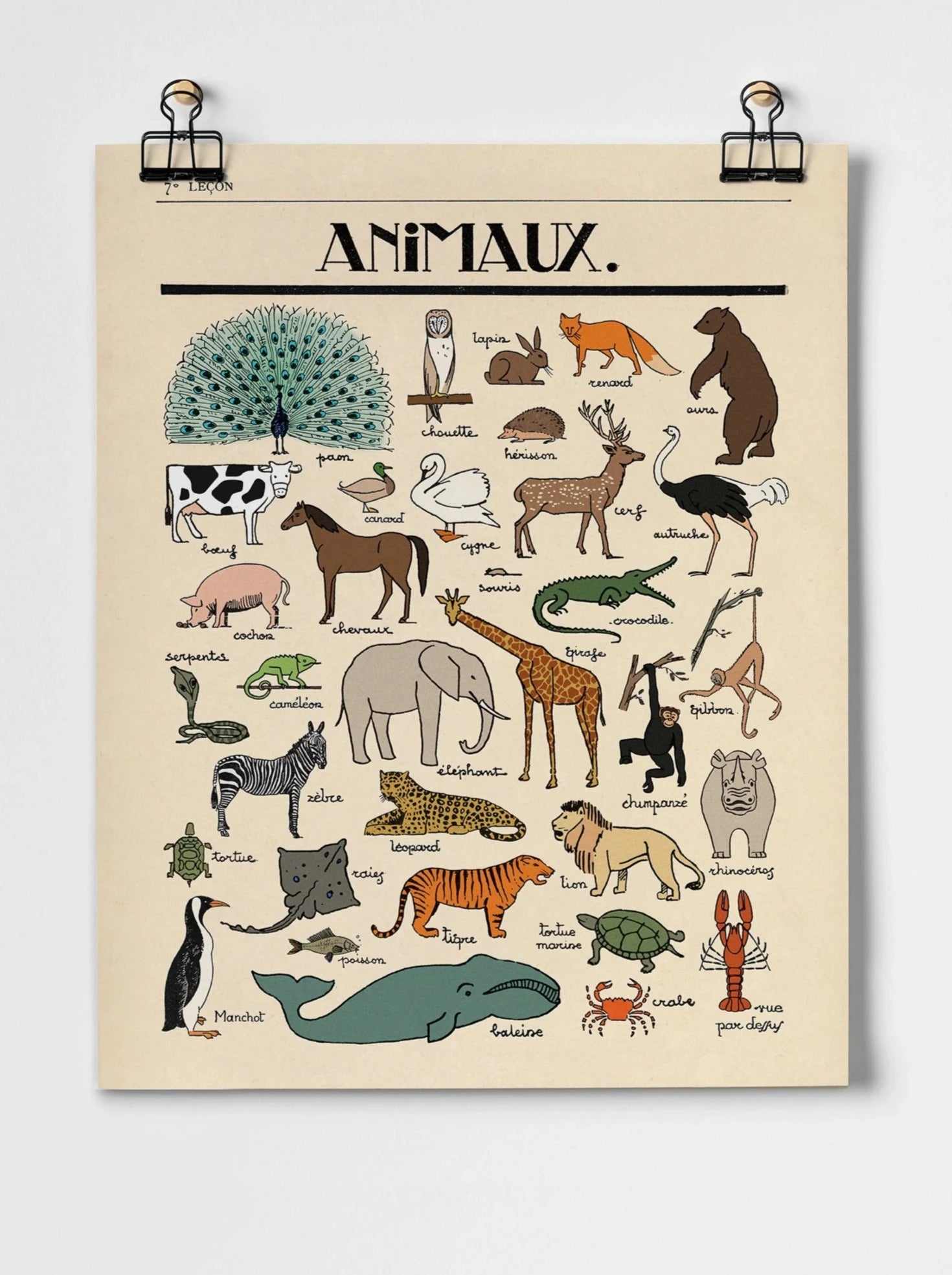 Les Animaux  - A3 Giclee Print