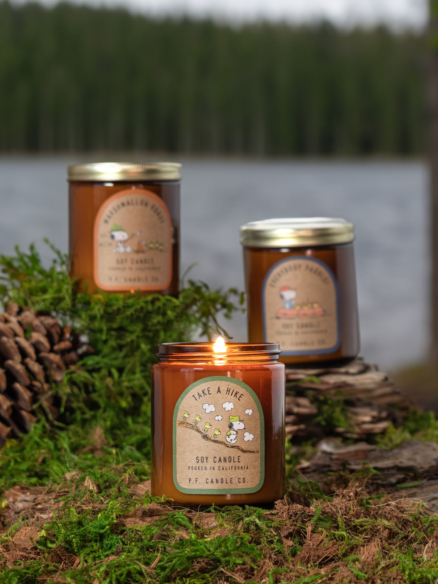 Take A Hike Limited Edition Candle