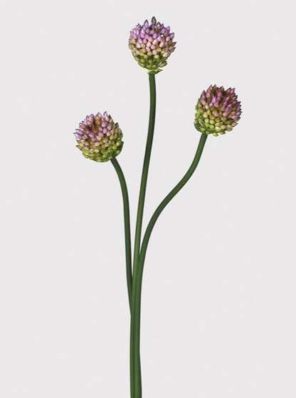 Faux Allium in Bud