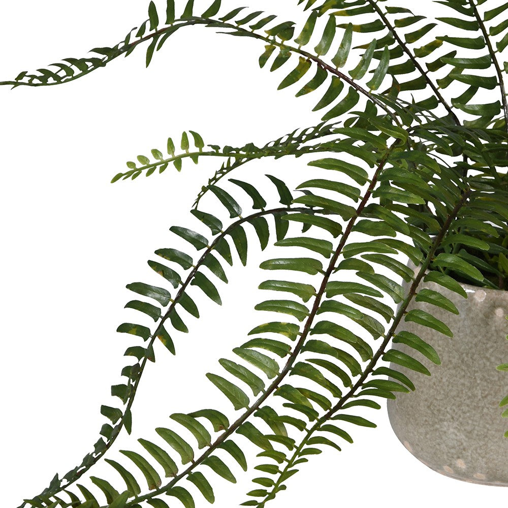 Faux Fern in Pot