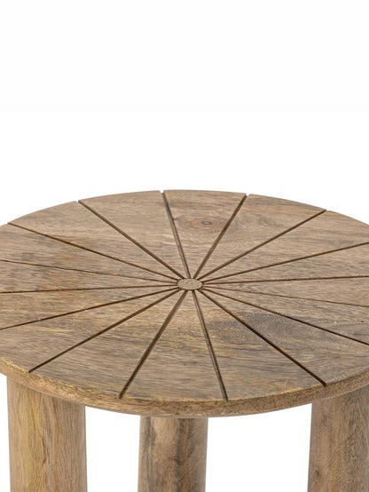 Stella Coffee Table - Nature - Mango