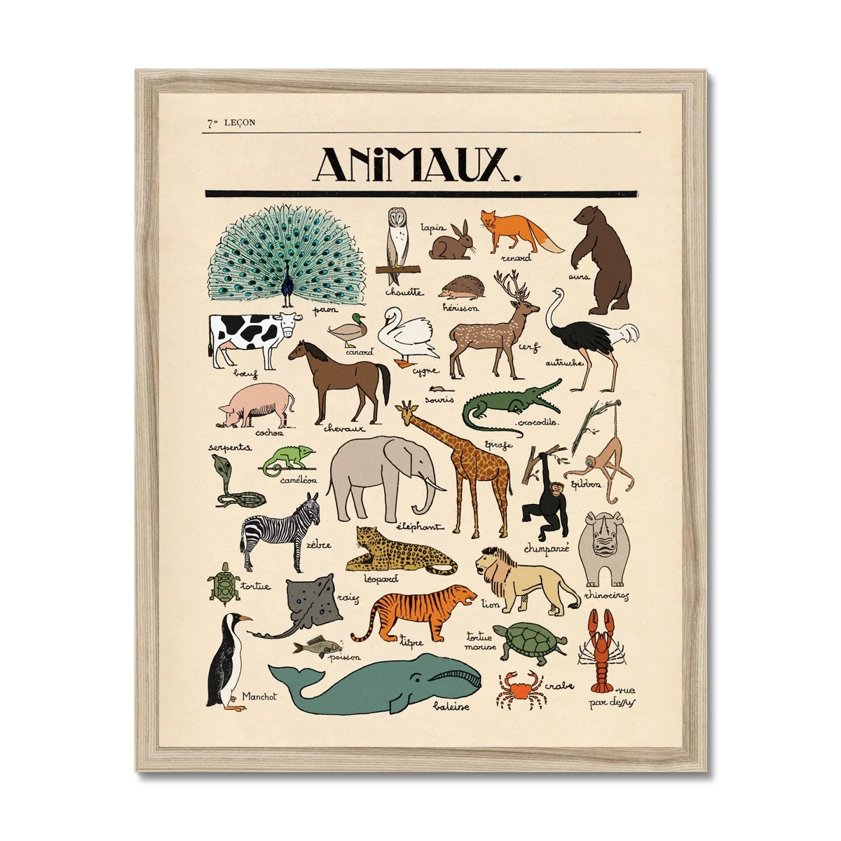 Les Animaux  - A3 Giclee Print