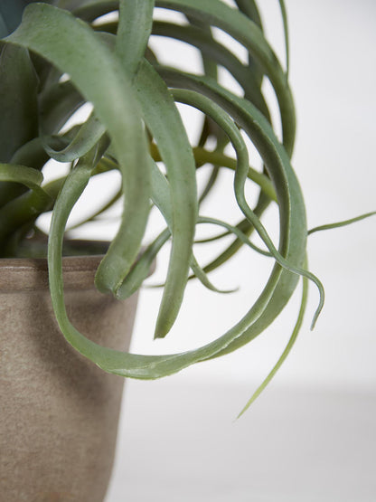 Faux Tillandsia Plant in Pot