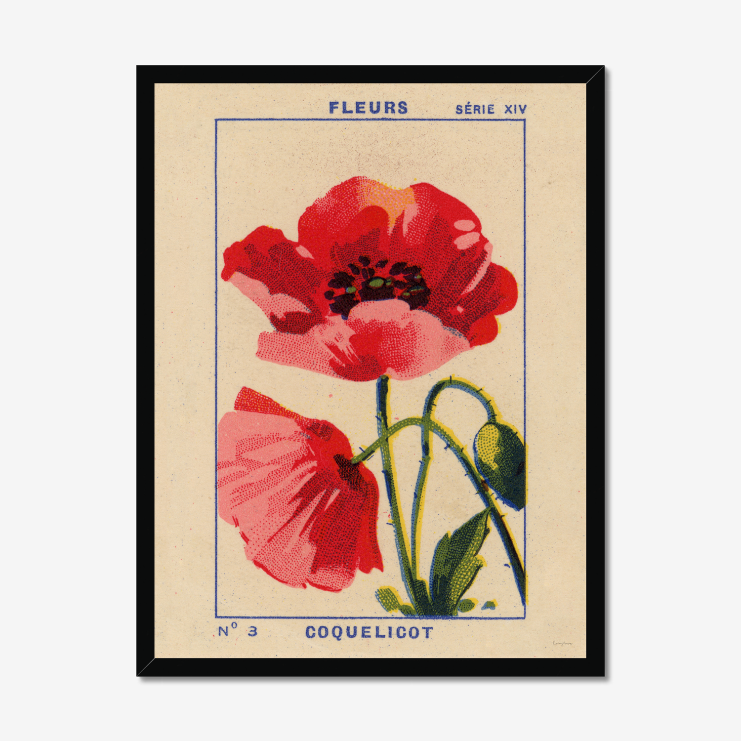 Coquelicot - Poppy Fine Art Print