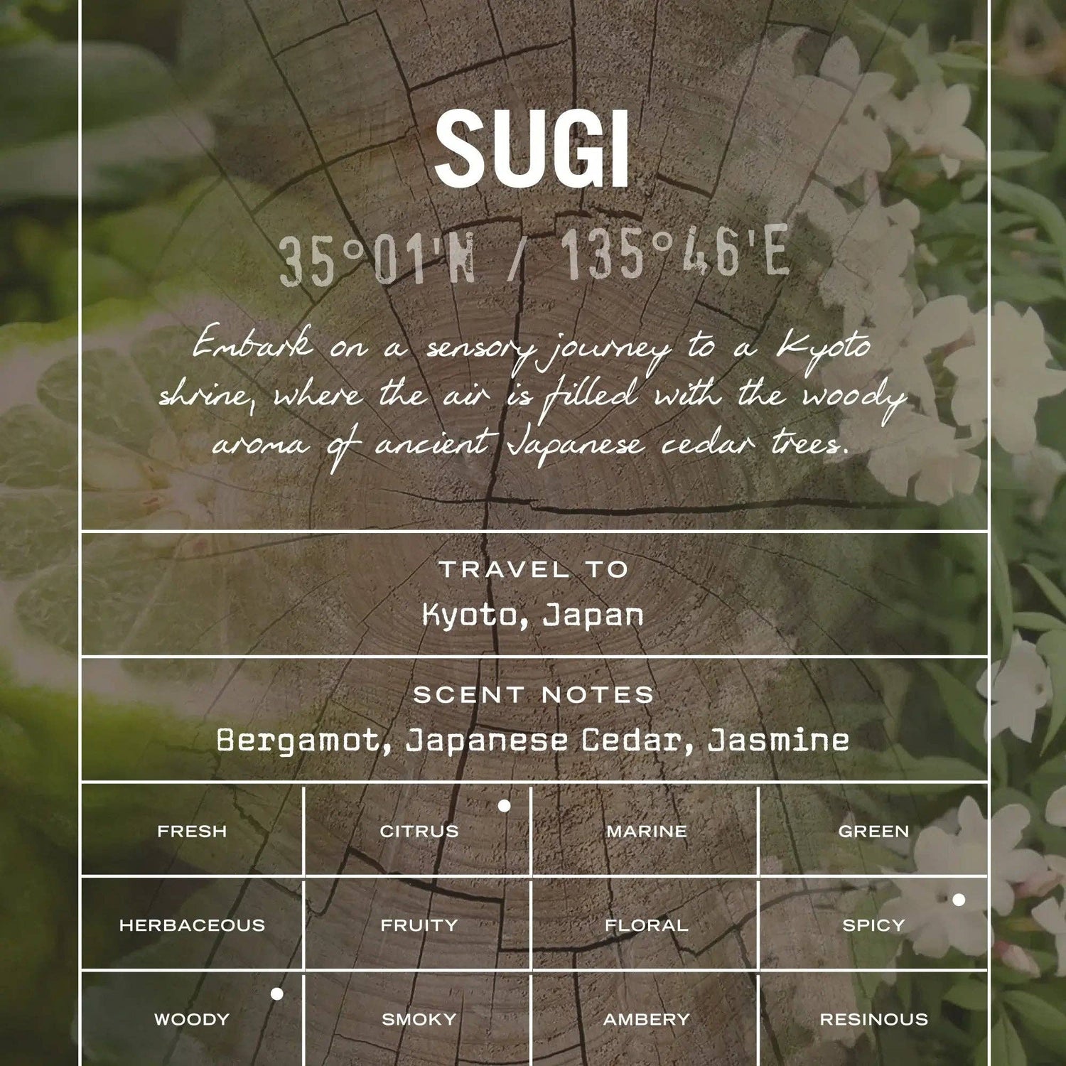 Sugi Reed Diffuser