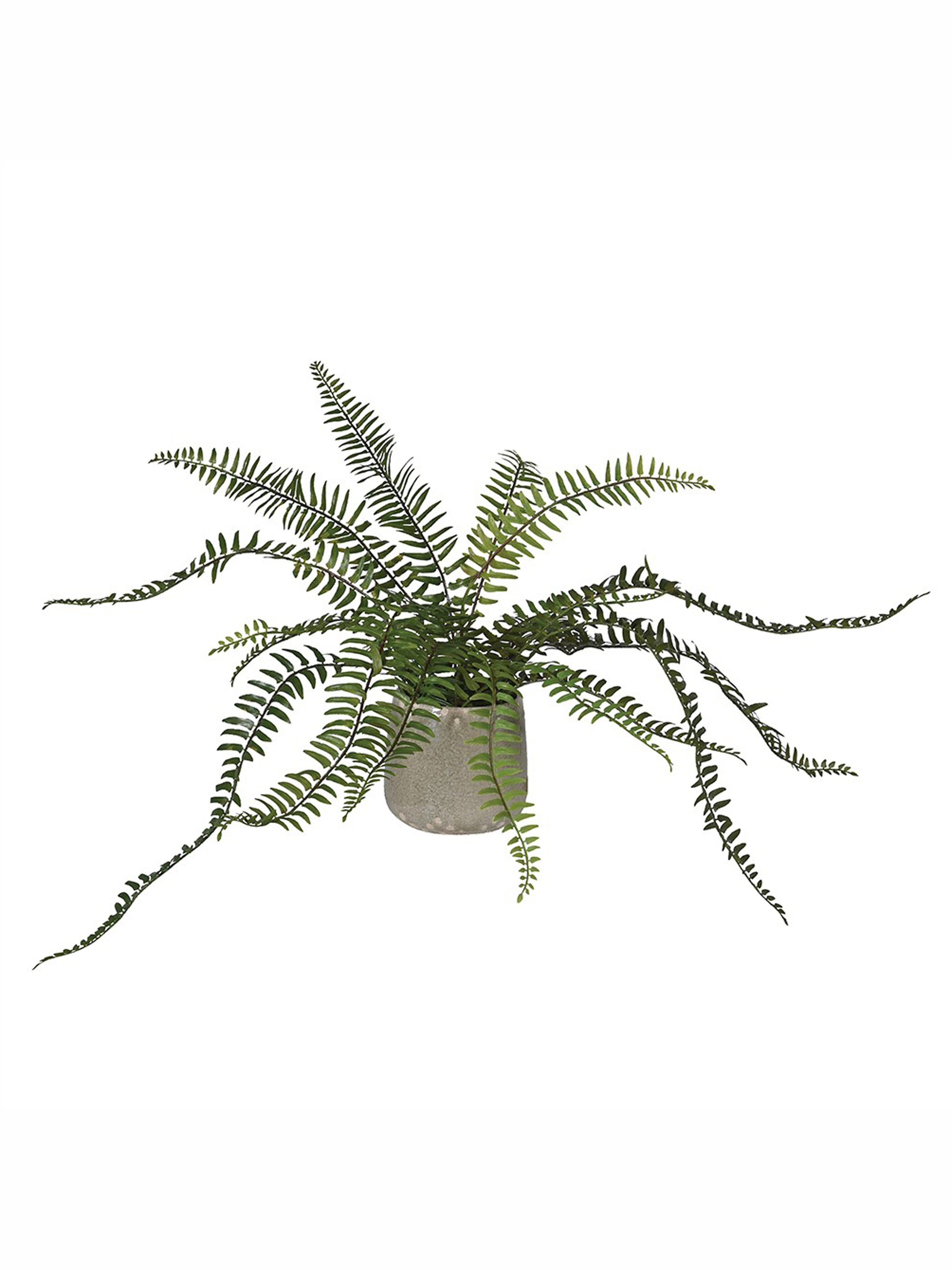 Faux Fern in Pot