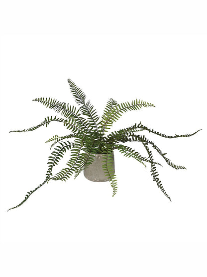 Faux Fern in Pot