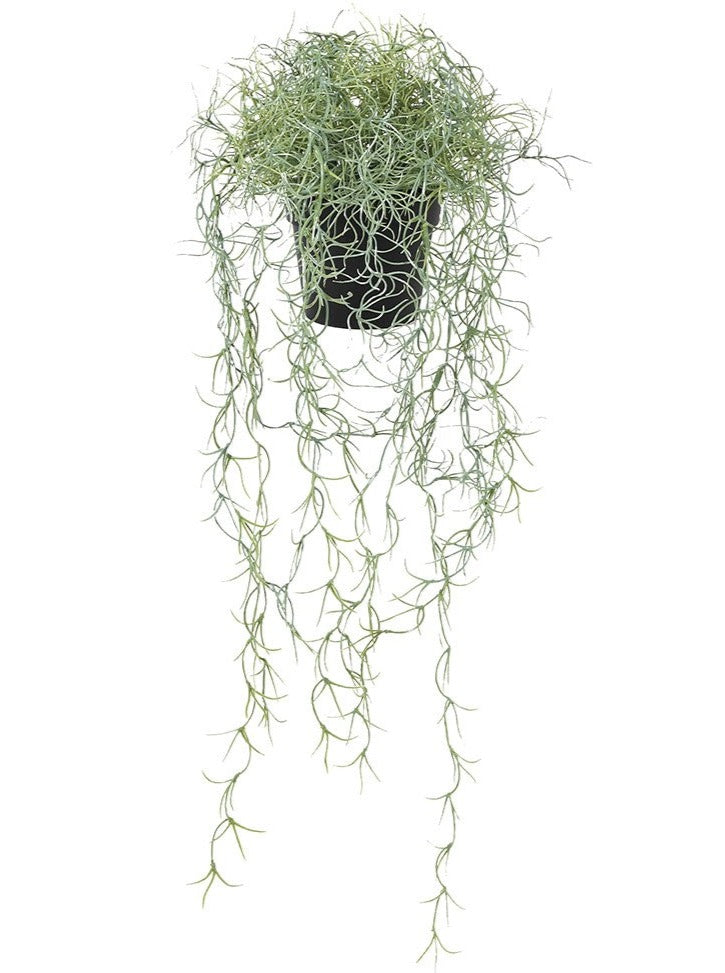 Faux Spanish Moss in Pot