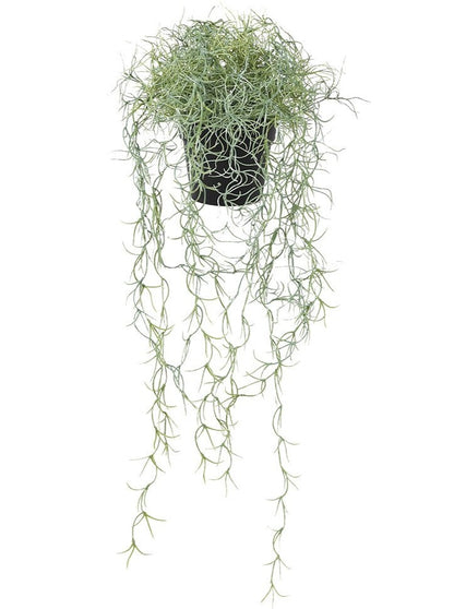 Faux Spanish Moss in Pot