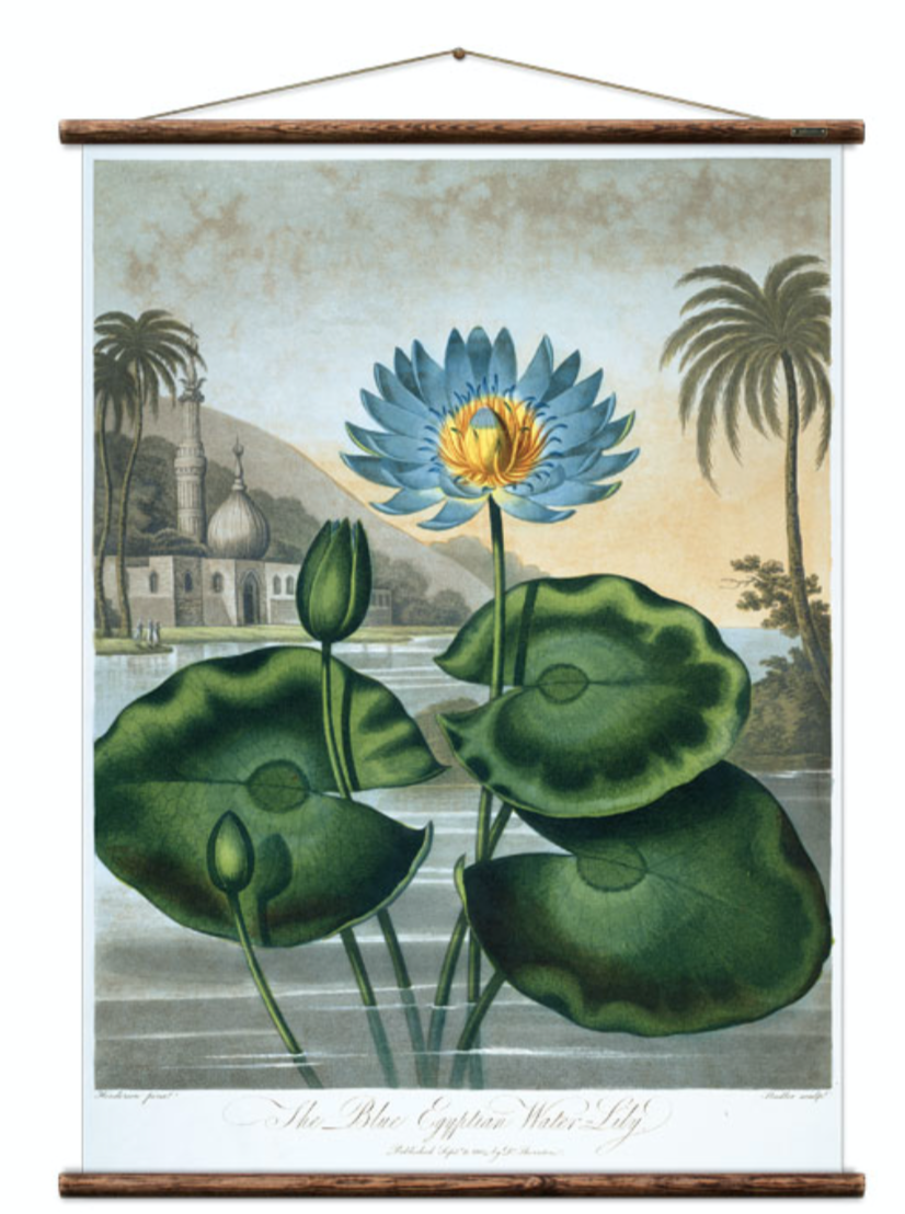 Wall Hanging Water Lilly