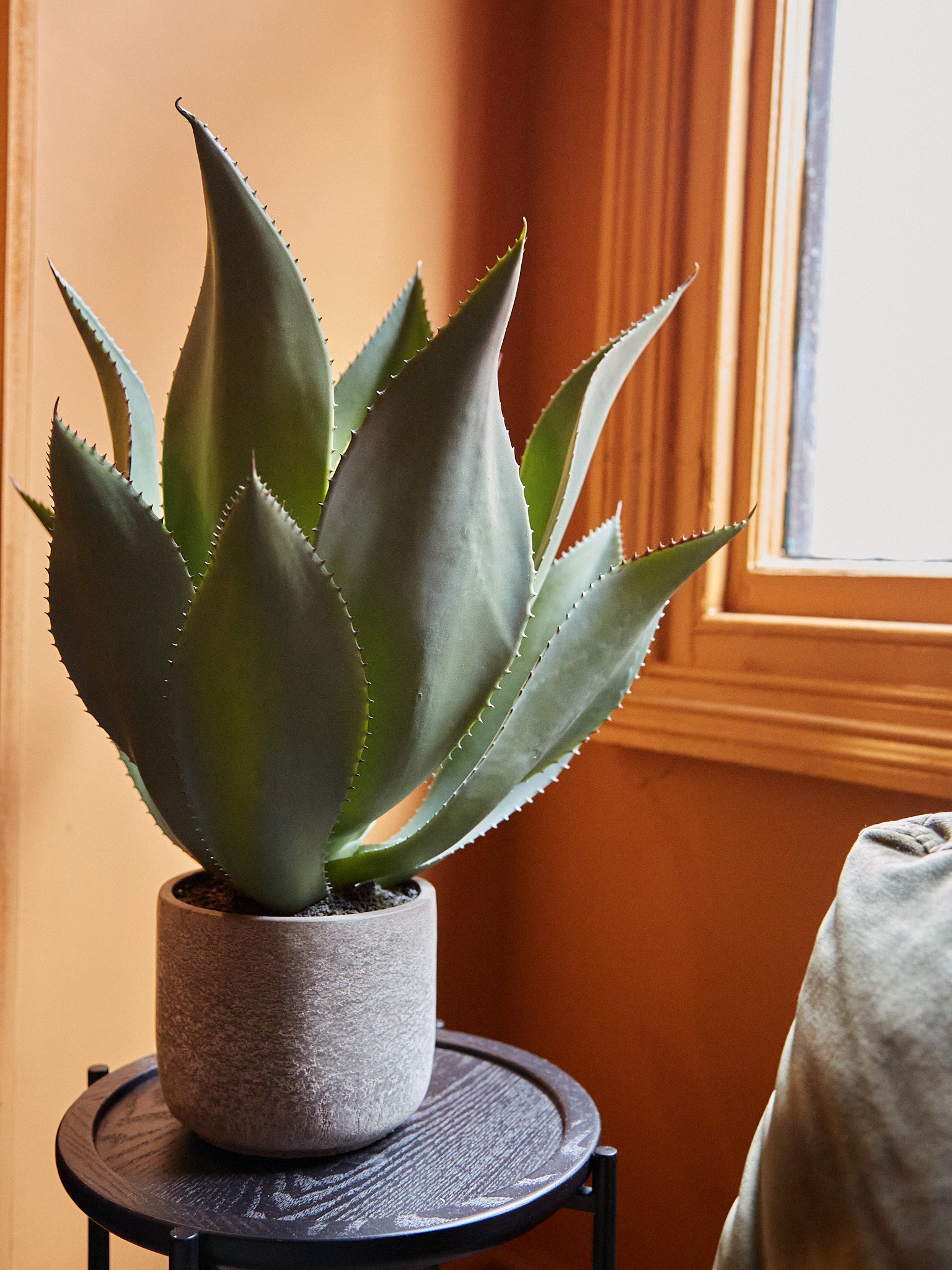 Faux Green Aloe Vera Plant in Clay Style Pot