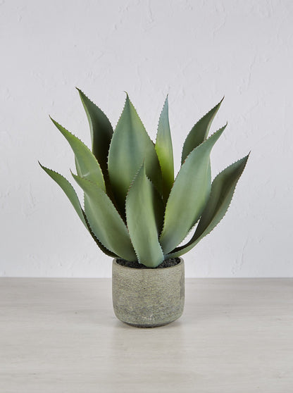 Faux Green Aloe Vera Plant in Clay Style Pot