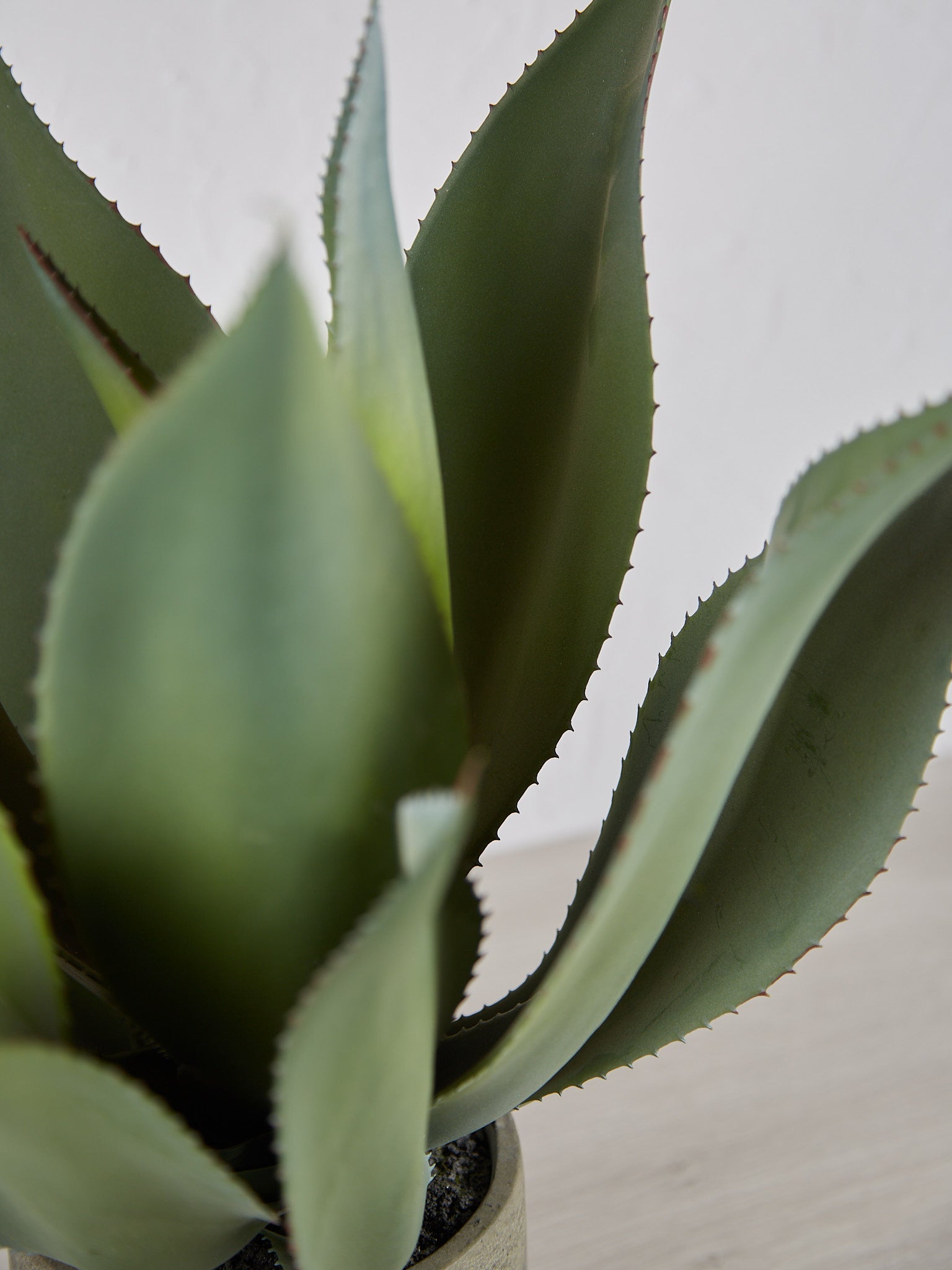 Faux Green Aloe Vera Plant in Clay Style Pot