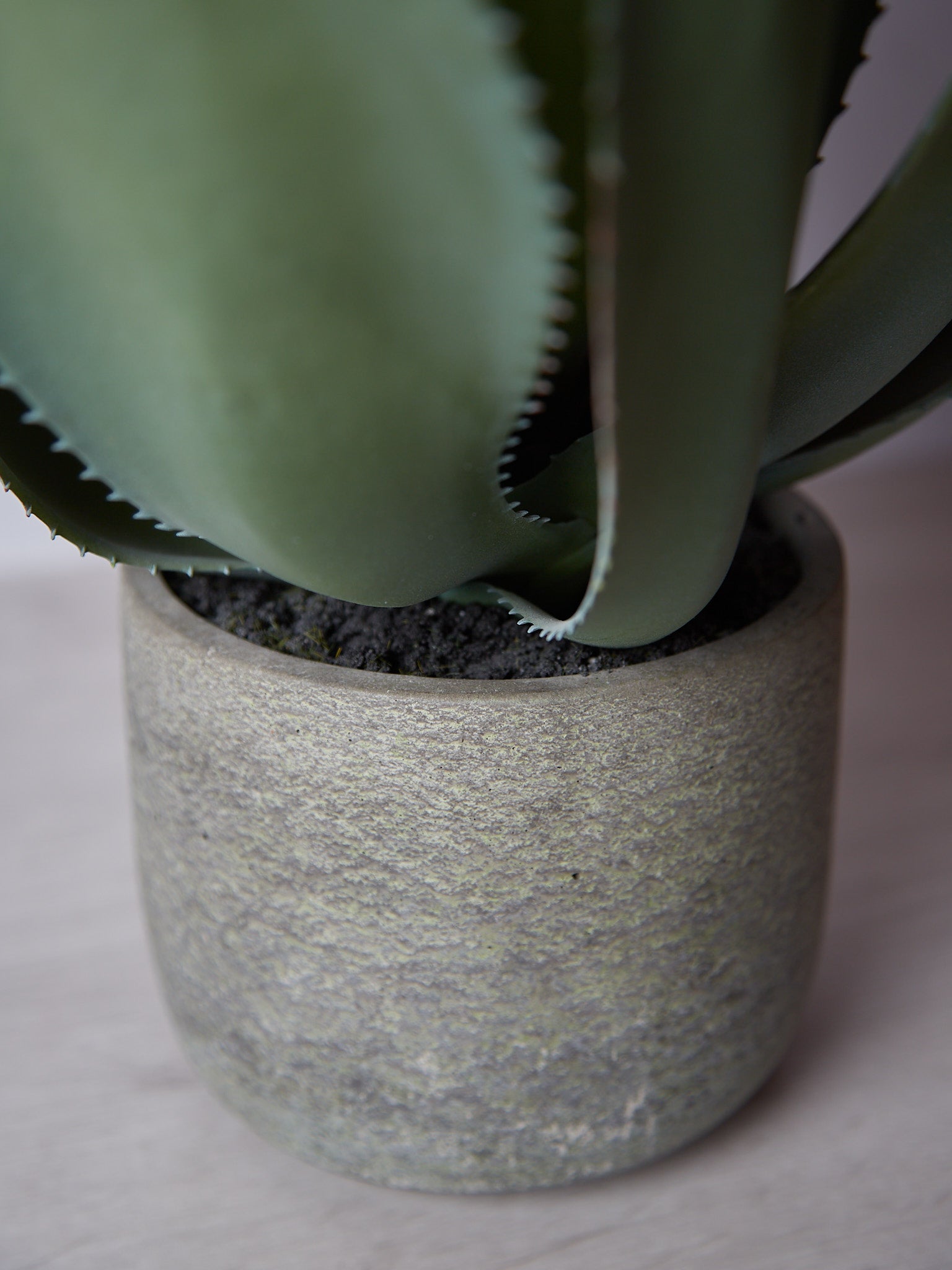 Faux Green Aloe Vera Plant in Clay Style Pot