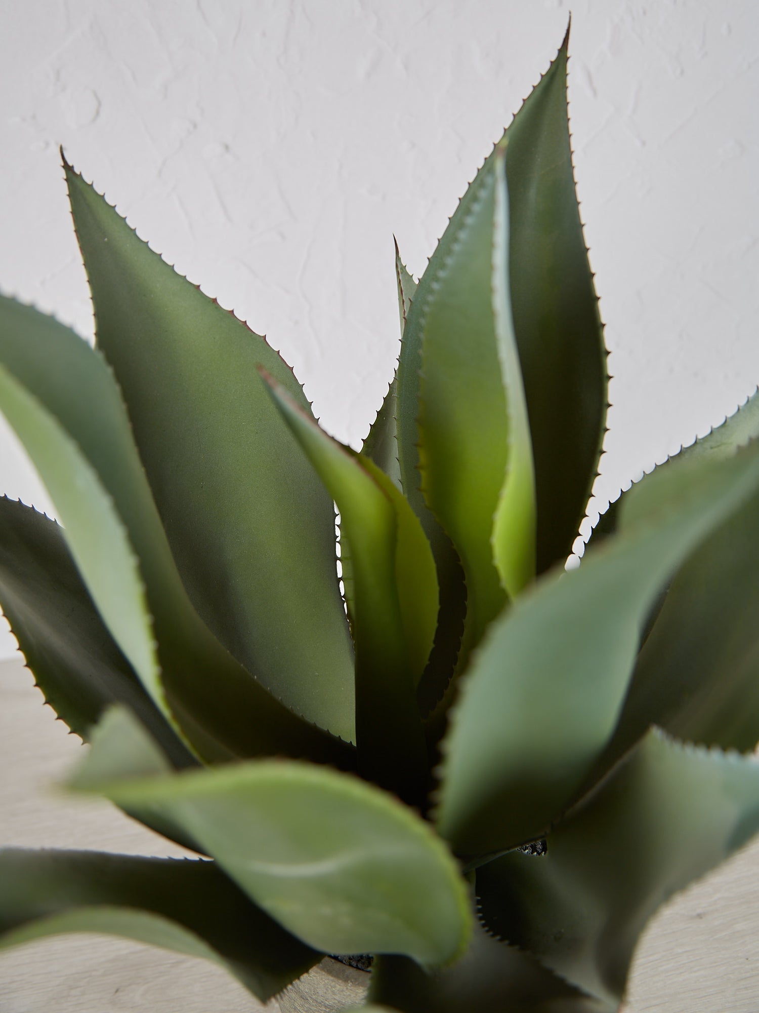 Faux Green Aloe Vera Plant in Clay Style Pot