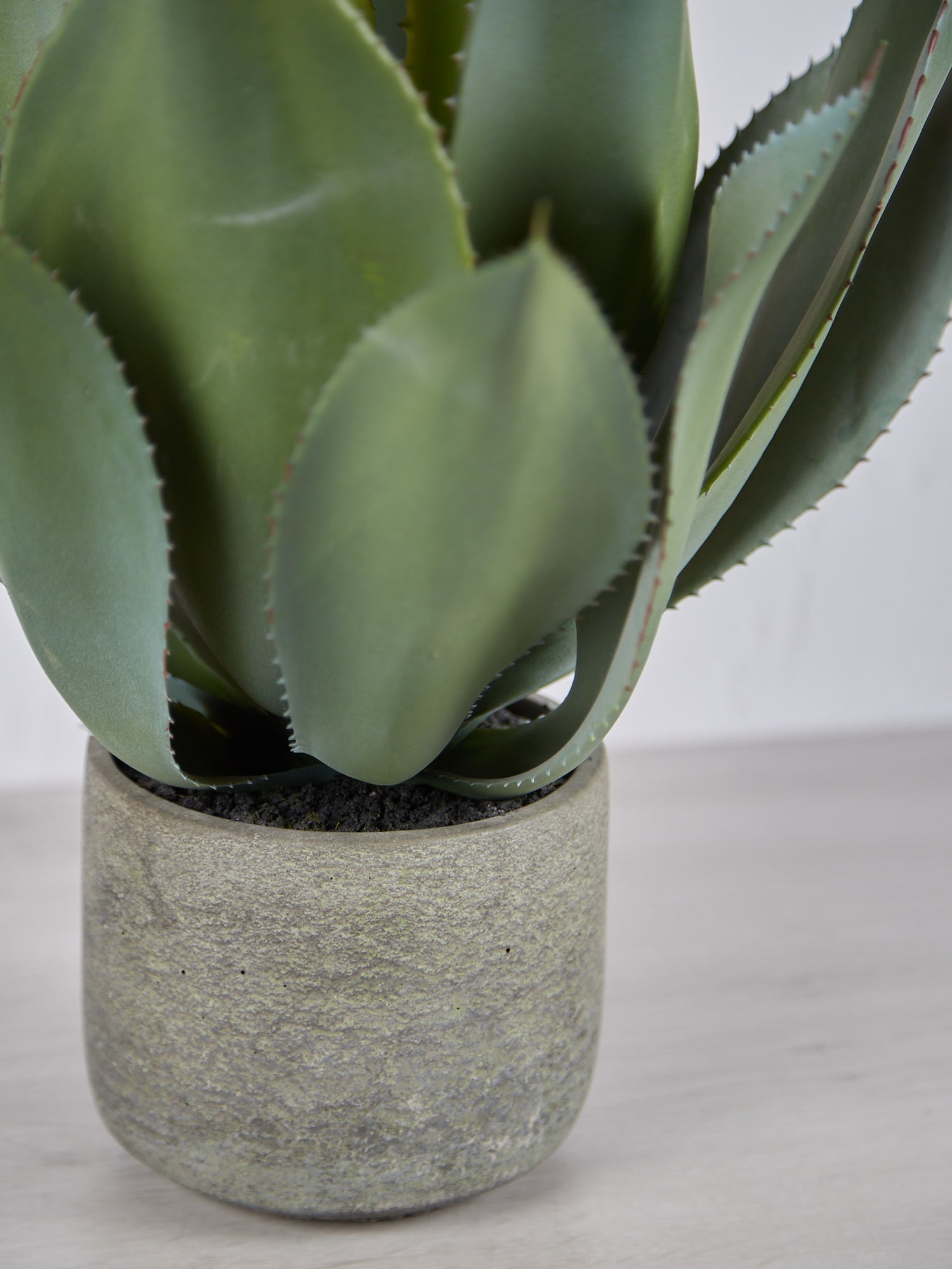 Faux Green Aloe Vera Plant in Clay Style Pot