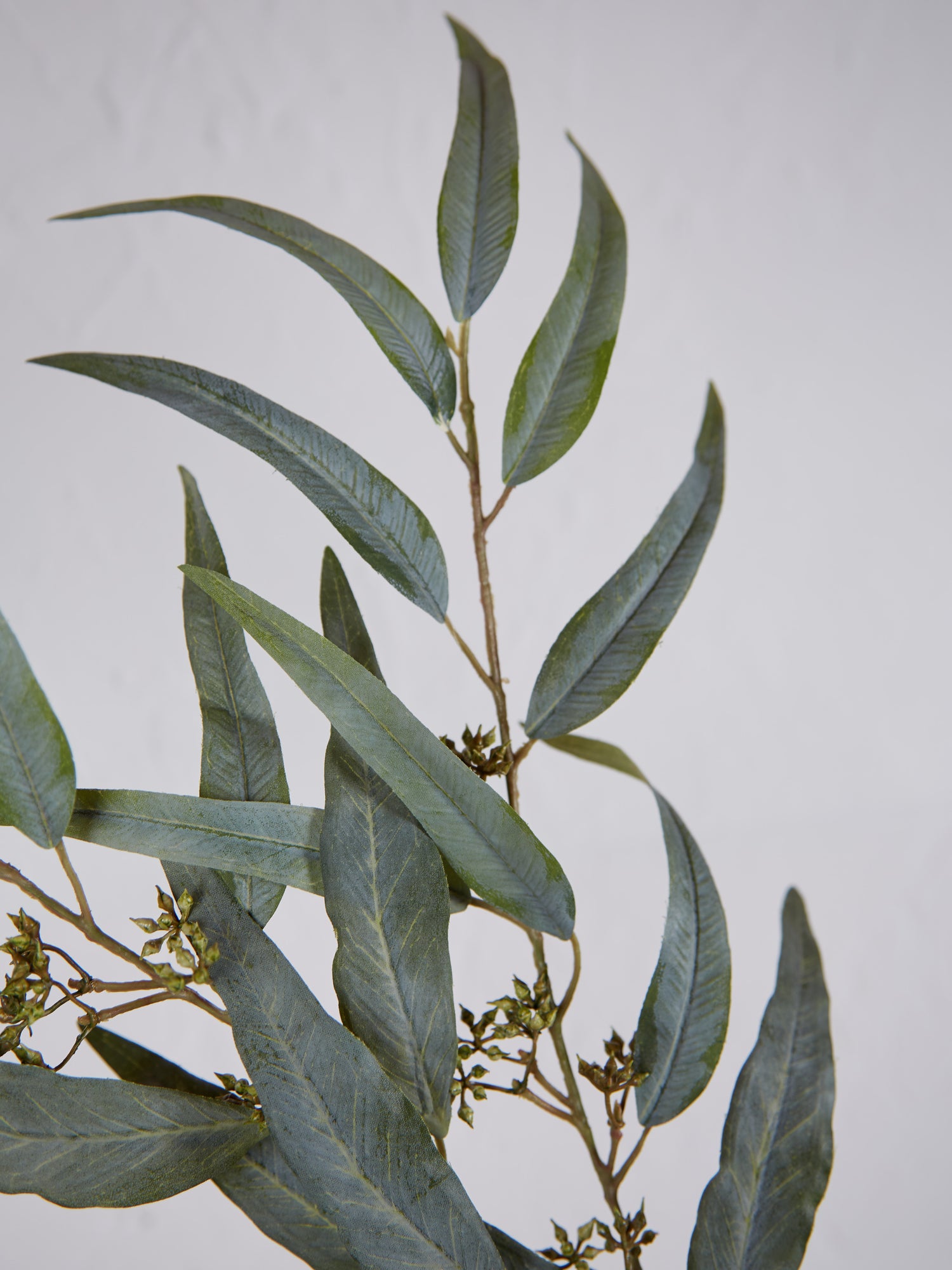 Green Willow Eucalyptus Spray Stem