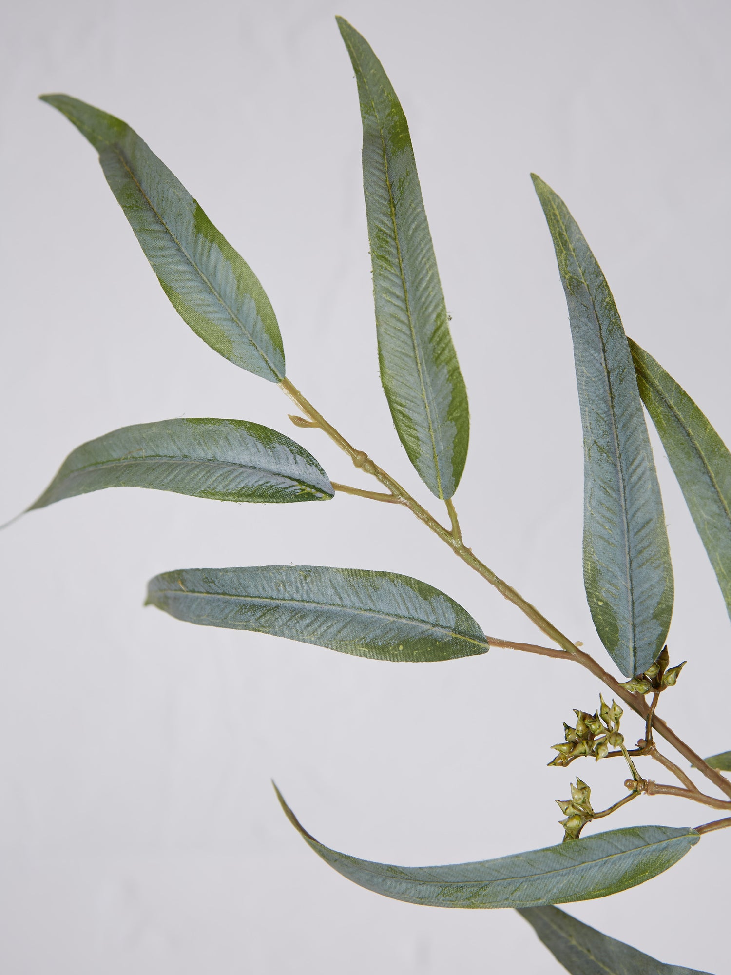 Green Willow Eucalyptus Spray Stem