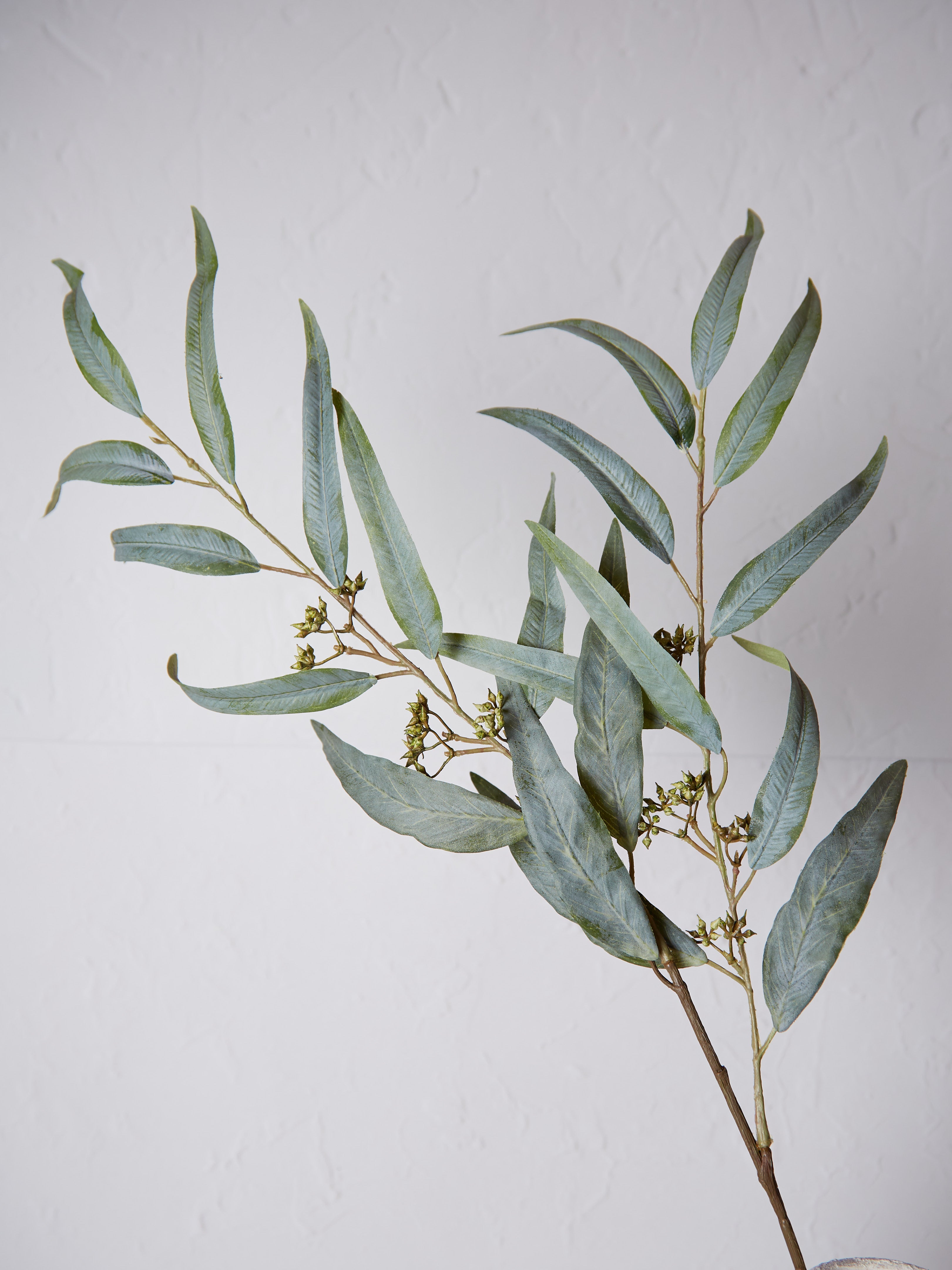 Green Willow Eucalyptus Spray Stem