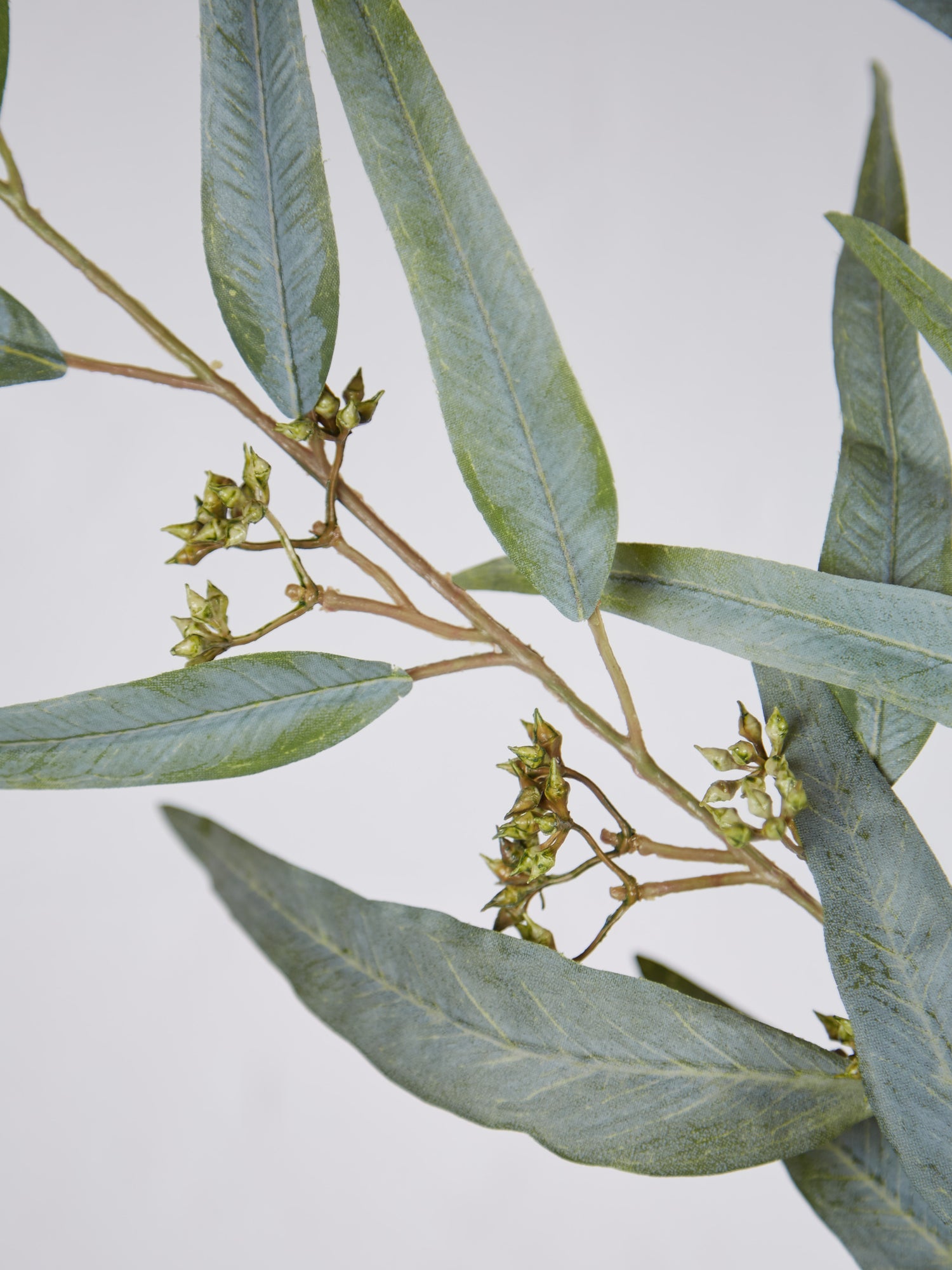 Green Willow Eucalyptus Spray Stem