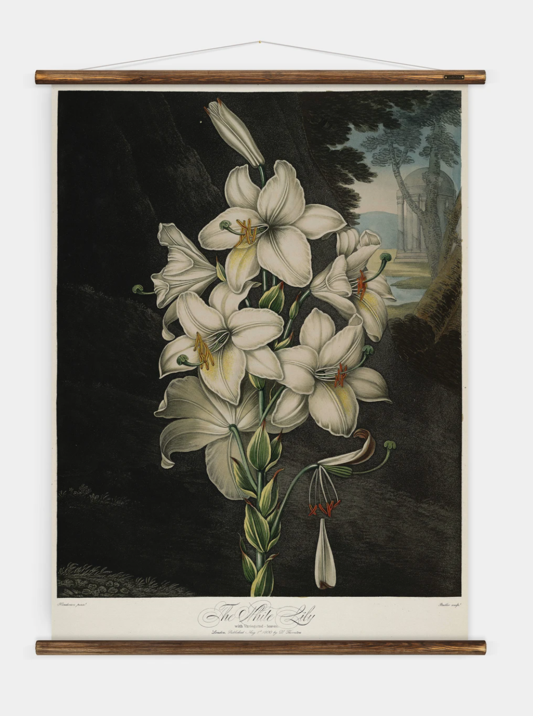 Wall Hanging The White Lily