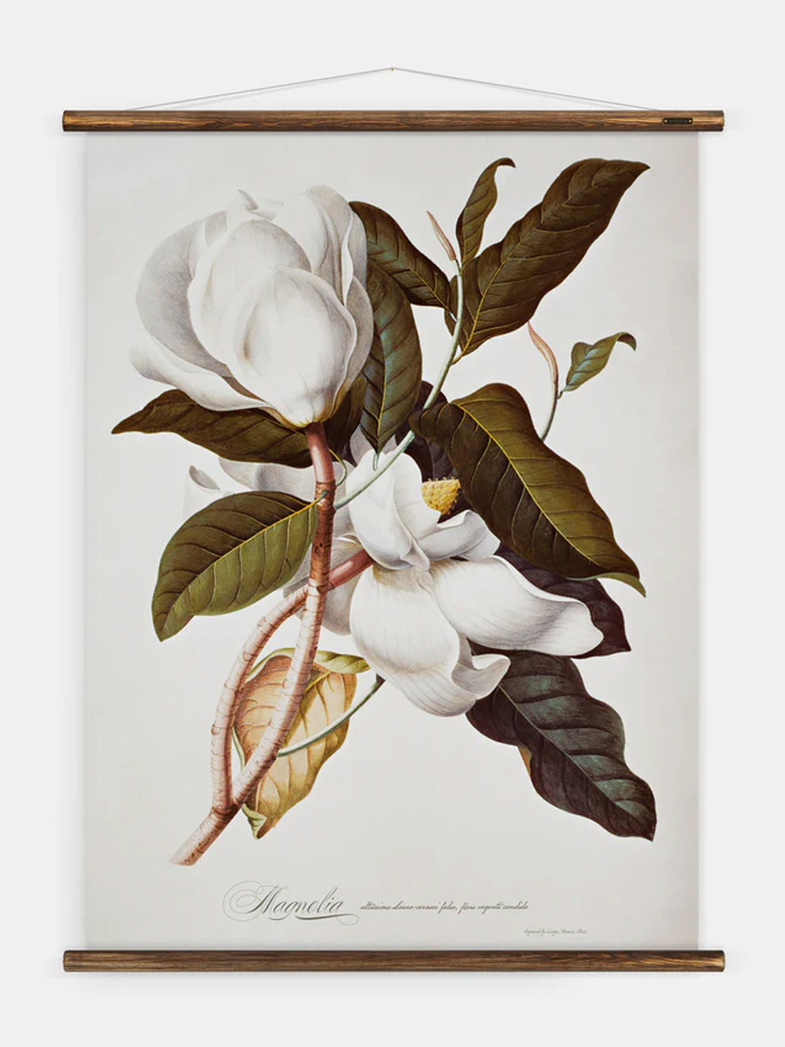 Wall Hanging Magnolia II