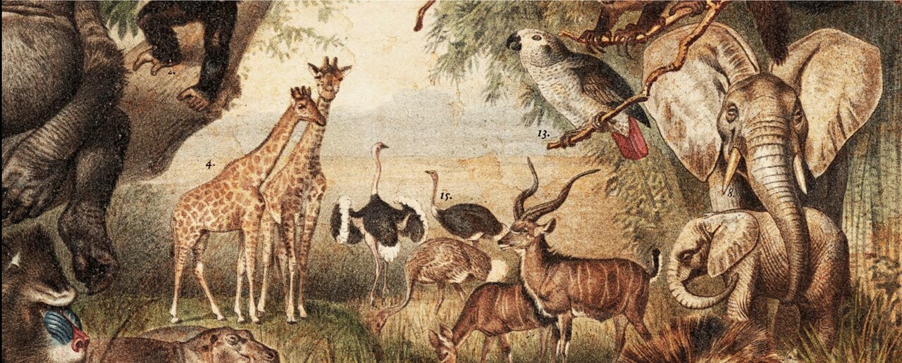 Wall Hanging African Fauna