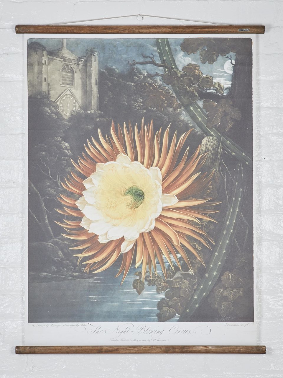 Wall Hanging The Night Flower