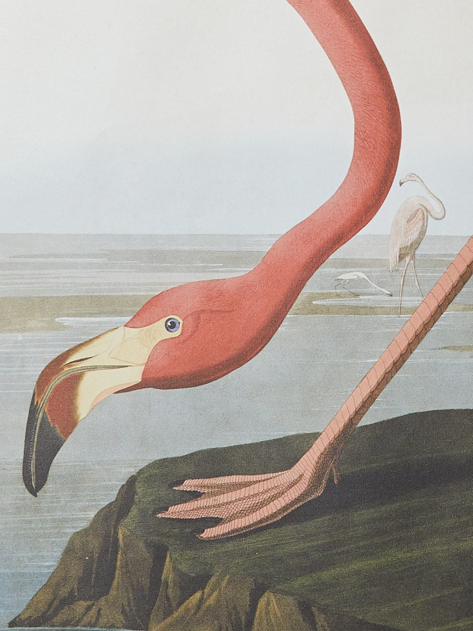 Wall Hanging American Flamingo