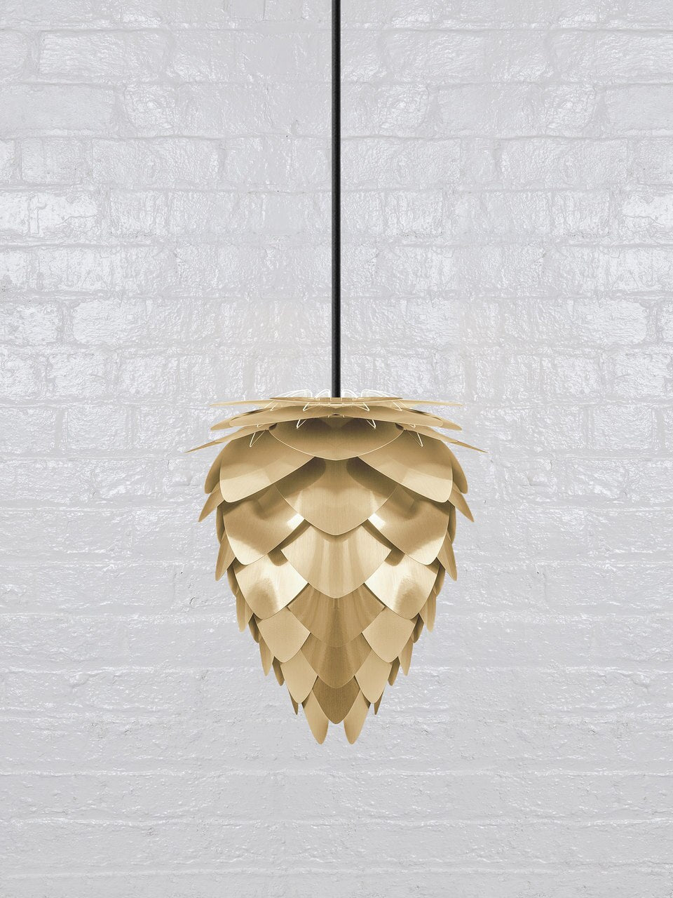 Brushed Brass Mini Conia Shade