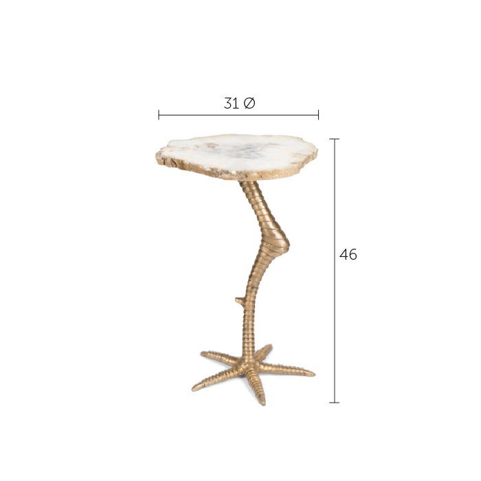 Beauty and the Bird Side Table