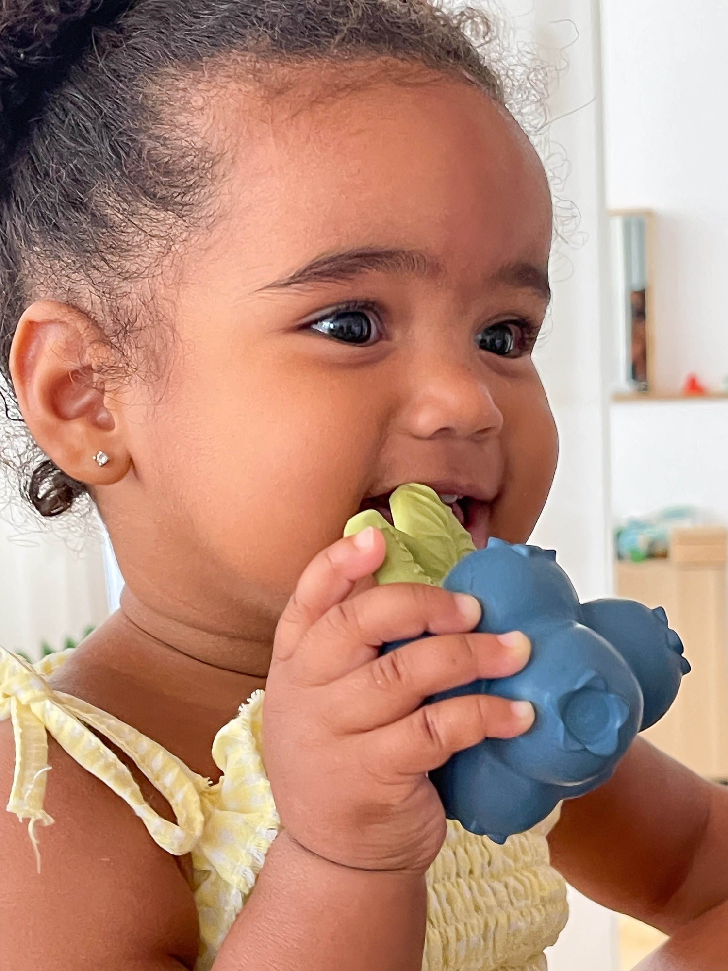 Jerry The Blueberry Natural Rubber Teething Bracelet &amp; Bath Toy