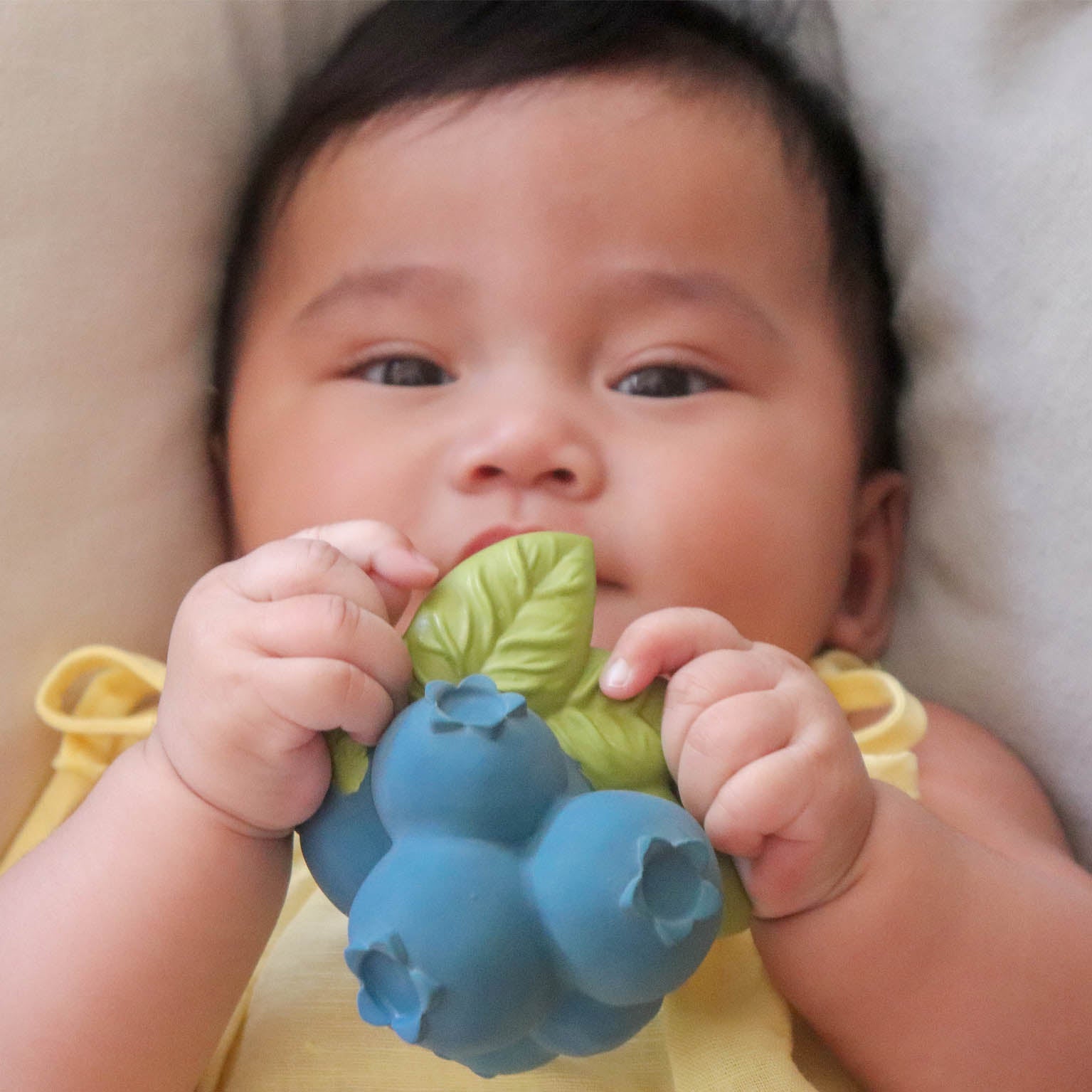 Jerry The Blueberry Natural Rubber Teething Bracelet &amp; Bath Toy