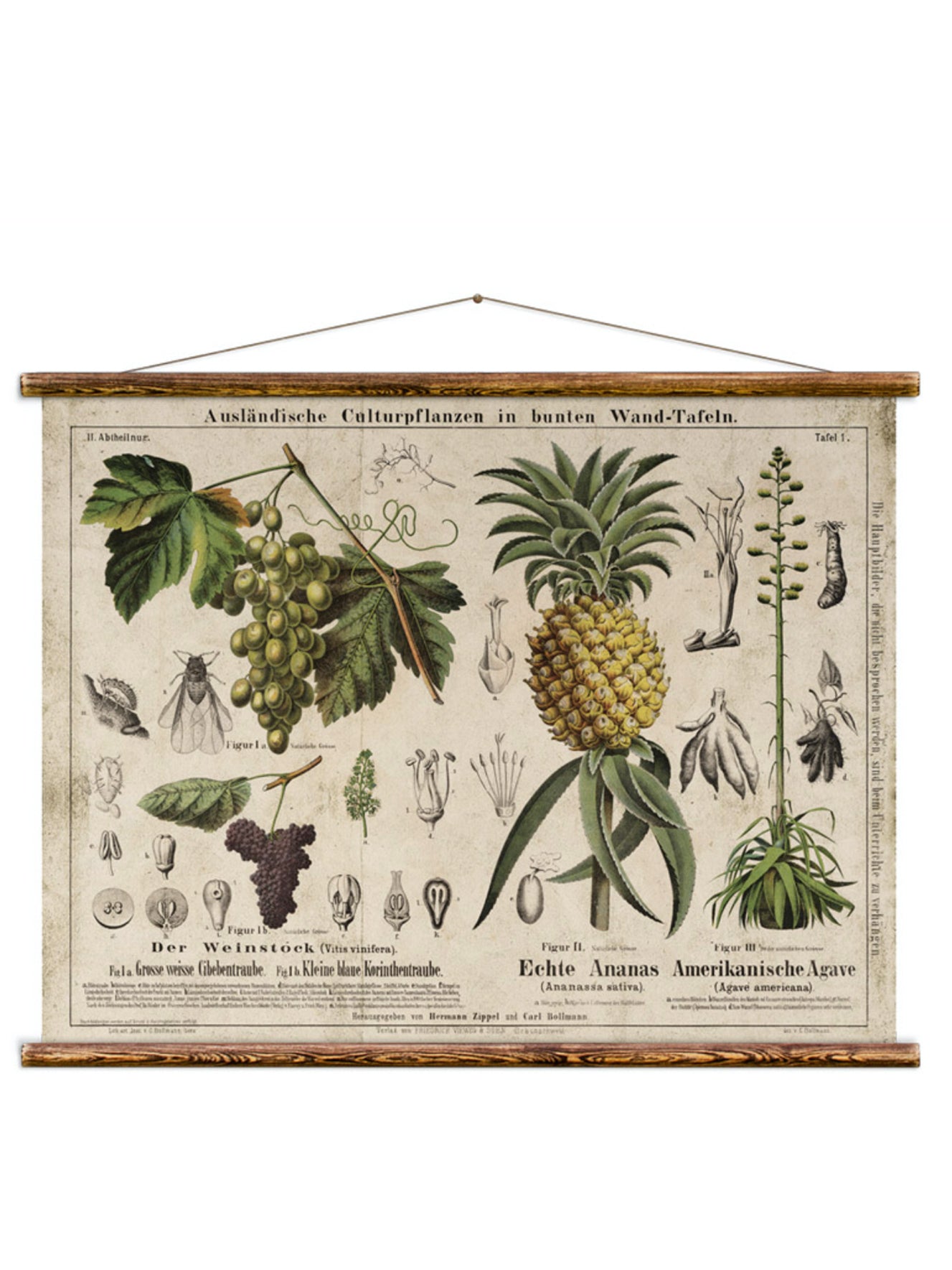 Wall Hanging Wine and Pineapple