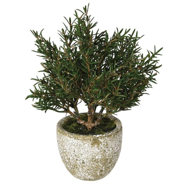 Faux Rosemary Bush in Clay Pot